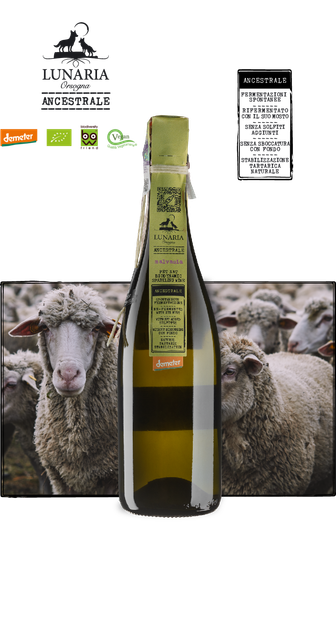 Вино игристое Lunaria Ancestrale Malvasia белое брют-натюр (без добавленных сульфитов) 0.75 л 12% (8032692482460) - изображение 2