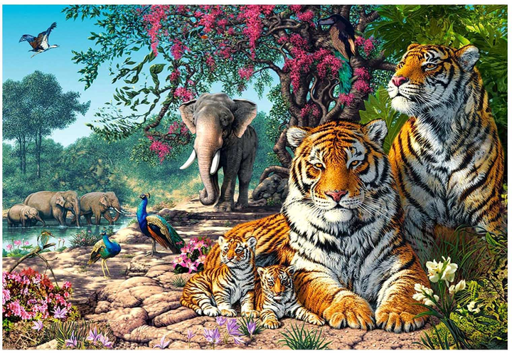 Puzzle Castorland Tiger Sanctuary 68 x 92 cm 3000 elementów (5904438300600) - obraz 2