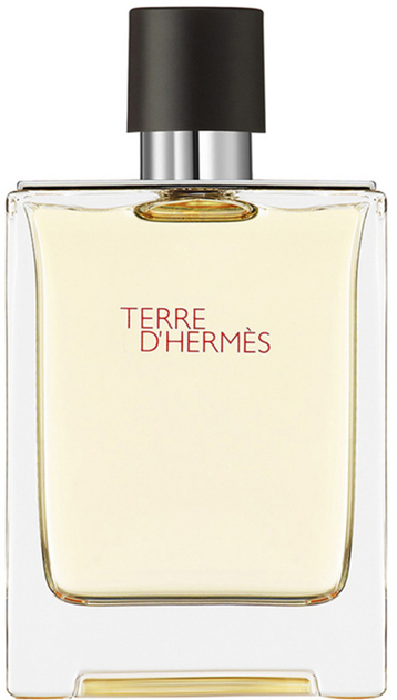 Woda toaletowa męska Hermes Terre d'Hermes 100 ml (3346131400003 / 3346130009603) - obraz 1