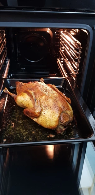 Духова шафа електрична Luxor HB 4511 Classico Champagne 7 програм + телескопічні напрямні, бежевий, шампань, слонова кістка - зображення 5