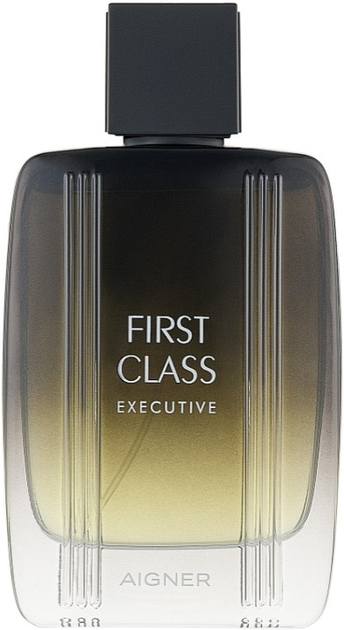 Woda toaletowa męska Aigner First Class Executive 100 ml (4013670000368) - obraz 1