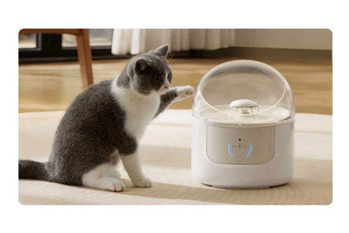 Поїлка CATLINK AI Water Fountain - Pure 1 (6972884750149) - зображення 5