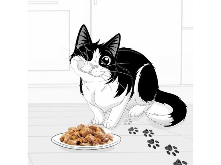Mokra karma dla kotów Purina Felix Fantastic Mięsne smaki w galaretce 12 szt x 85 g (7613039758021) - obraz 3
