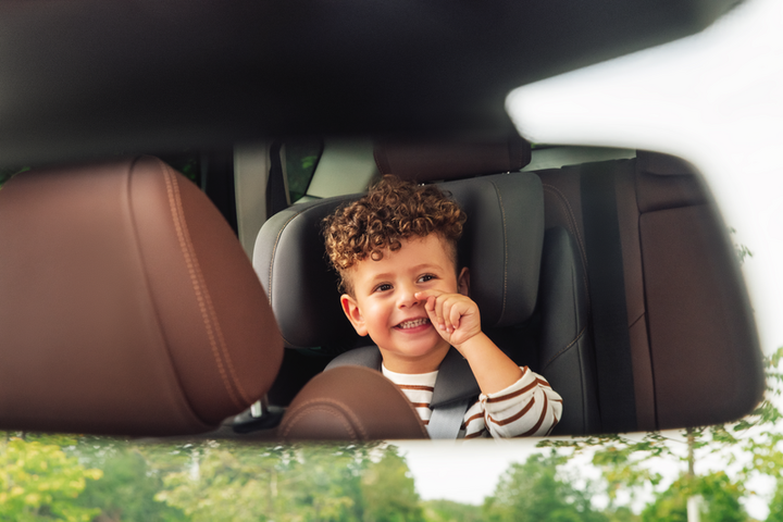 Автокресло Britax-Romer Advansafix Pro Style Teak (2000040906) - изображение 8