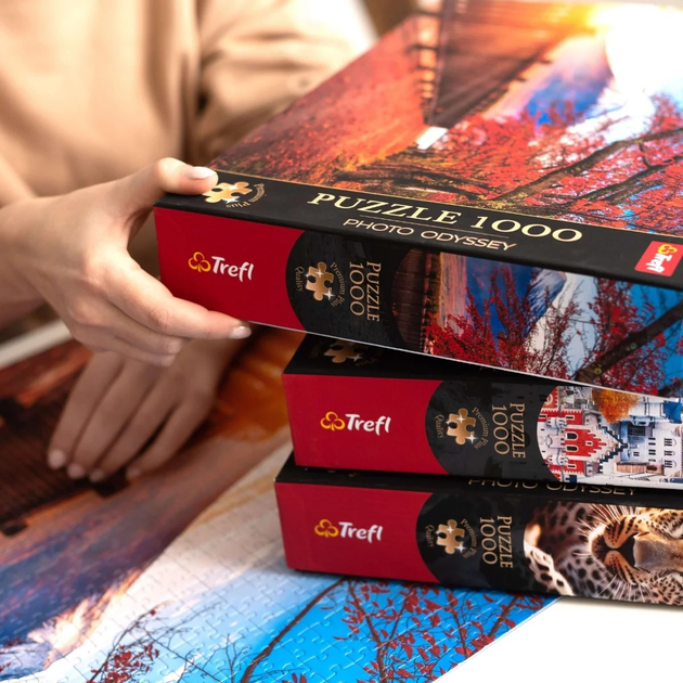 Puzzle Trefl Premium Plus Quality Photo Odyssey: Góra Fuji Japonia 1000 elementów (5900511108170) - obraz 3