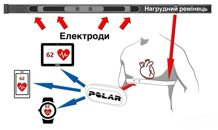 Нагрудний датчик серцевого ритму для спорту Polar H10 (пульсометр) універсальний розмір чорний з сірим написом - зображення 3