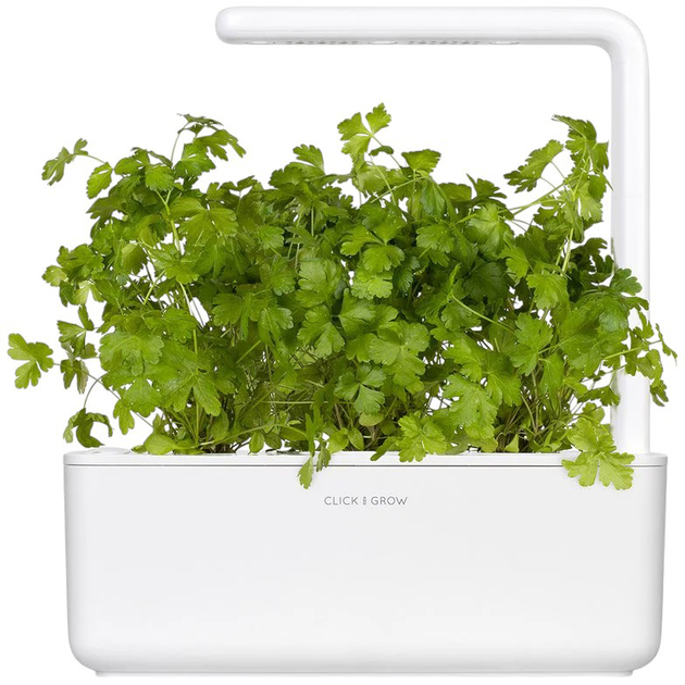 Змінний картридж Click&Grow Smart Garden Refill 3 упаковки з петрушкою (4742793007359) - зображення 4