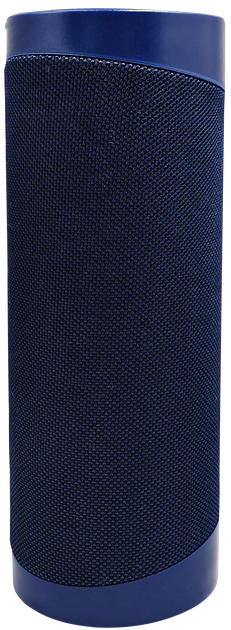 Przenośny głośnik Denver BTV-208 Blue (5706751063404) - obraz 3