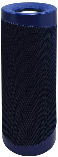Przenośny głośnik Denver BTV-208 Blue (5706751063404) - obraz 4