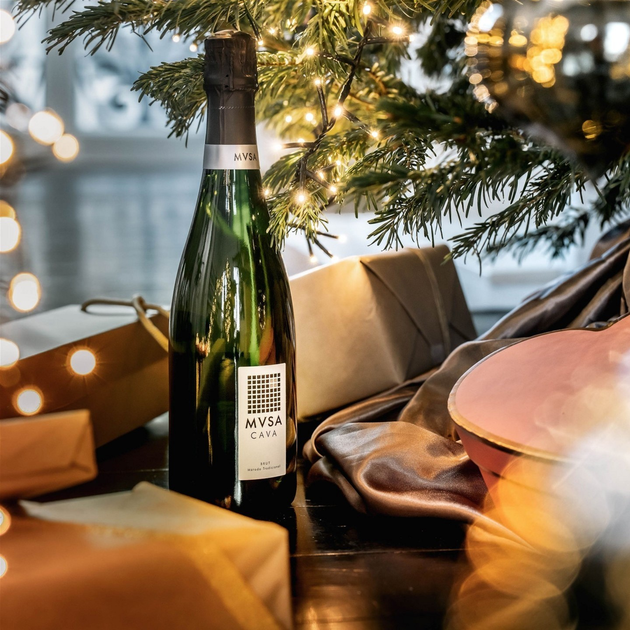 Вино ігристе MVSA Cava DO brut Vallformosa біле cухе 0.75 л 11.5% (8413216151138) - зображення 2