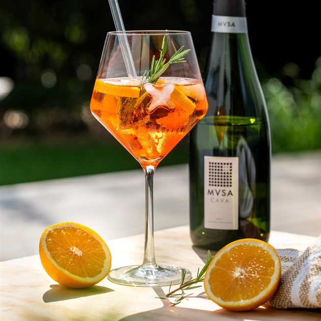 Вино ігристе MVSA Cava DO brut Vallformosa біле cухе 0.75 л 11.5% (8413216151138) - зображення 4