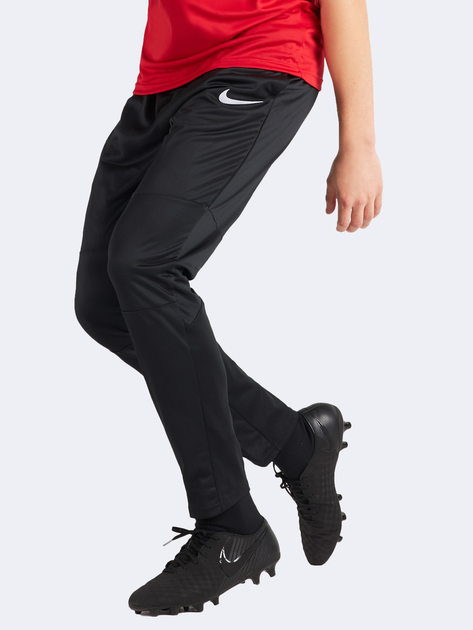 Спортивні штани чоловічі Nike Nike Dry Park 20 Pants BV6877-010 L Чорні (193654349585) - зображення 1