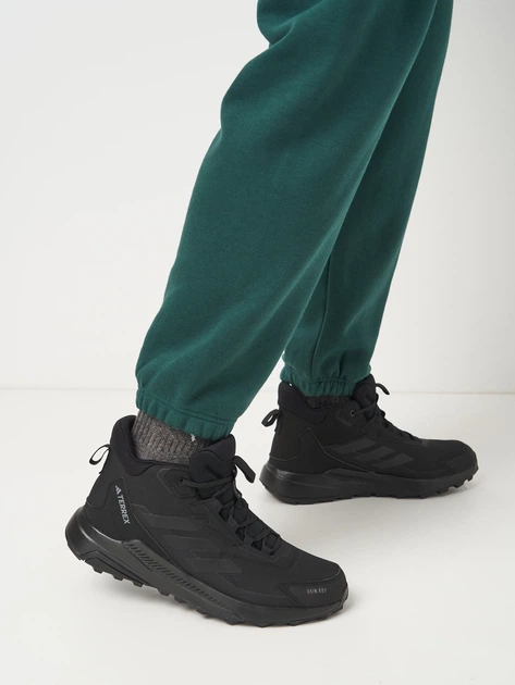 Мужские ботинки для туризма Adidas Terrex Anylander Mid R.Rdy