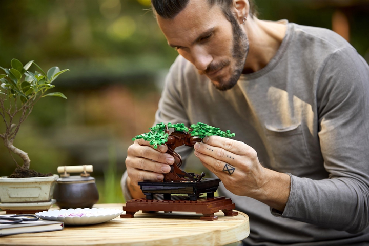 Zestaw klocków LEGO Icons Drzewko bonsai 878 elementów 3 szt (10281) - obraz 5