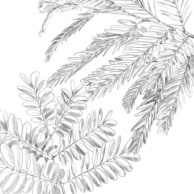 Комплект постільної білизни Atmosphera Monstera Бавовнв 240x220 см (3560238696804) - зображення 4