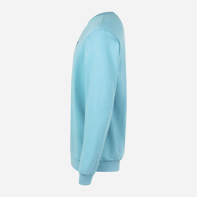 Bluza bez kaptura męska Fila FAM0189-50013 S Niebieska (4064556292681) - obraz 8