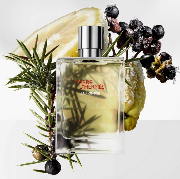 Парфумована вода для чоловіків Hermes Terre D'Hermes Eau Givree 175 мл (3346130416135) - зображення 3
