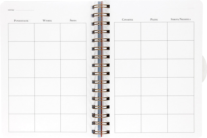 Organizer Interdruk A5 240 kartek na spirali Bullet journal garden (5902277333605) - obraz 3