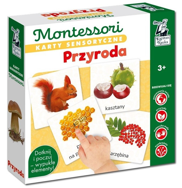 Karty sensoryczne Kapitan Nauka Montessori Przyroda (5904905917072) - obraz 1