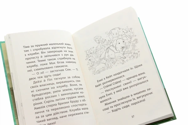 Книга Історії порятунку. Книга 6. Хом'ячок утікач (978-617-7877-25-6) - изображение 6