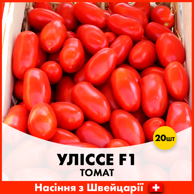 Томат Syngenta Уліссе F1, 20 шт - Фото 1 Томат Syngenta Уліссе F1, 20 шт - зображення 1