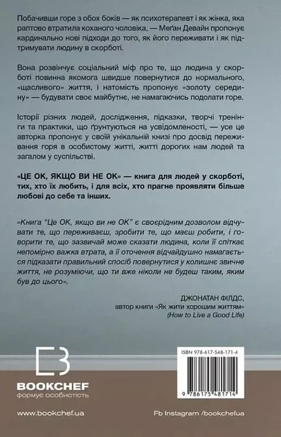 Це ОК якщо ви не ОК - Меґан Девайн - зображення 2