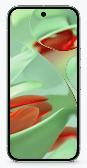 Смартфон Google Pixel 9 12/128GB Wintergreen – фото, отзывы