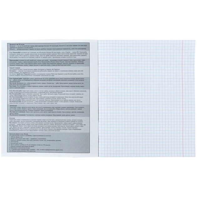 Предметний зошит з біології Kite Sketch K24-240-17 48 арк у клітинку 4063276216304 - зображення 2