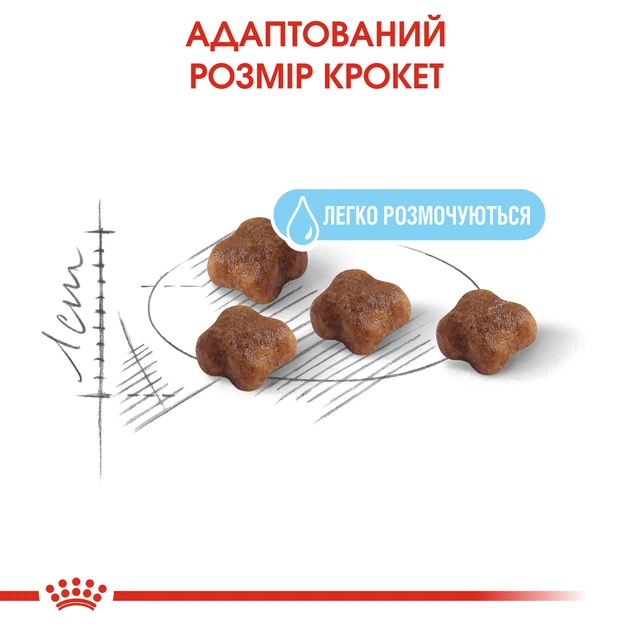 Сухой корм Royal Canin MOTHER & BABYCAT для кошек в период лактации и новорожденных котят 4 кг (3182550707329) - изображение 3