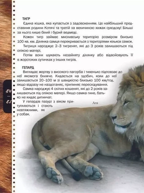 Энциклопедия для любознательных Животные - изображение 4