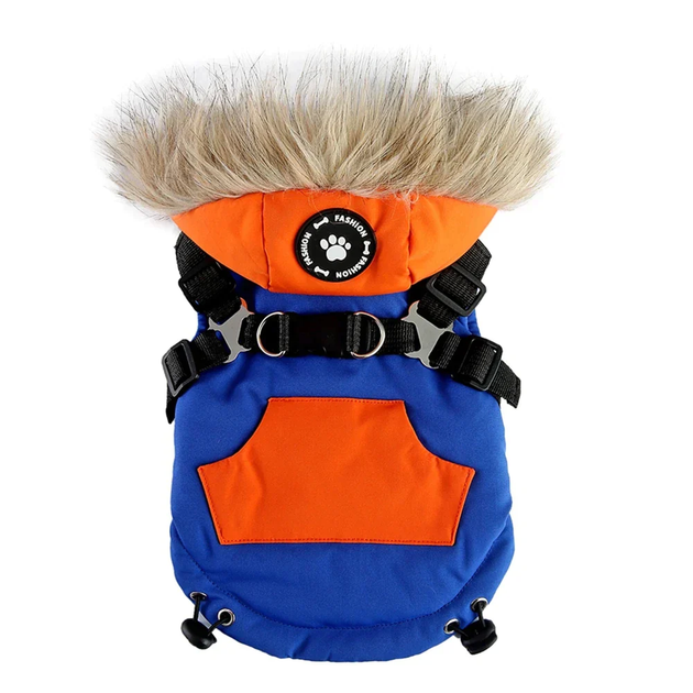 Зимовий жилет для собак з капюшоном та хутром Derby Blue/Orange, S Синій/помаранчевий - Фото 2 Зимовий жилет для собак з капюшоном та хутром Derby Blue/Orange, S Синій/помаранчевий - зображення 2
