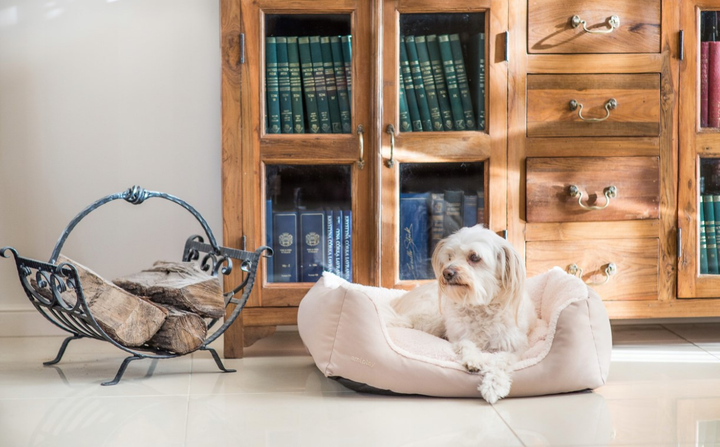 Legowisko dla psa Amiplay Sofa Aspen XL 90 x 72 x 22 cm Beżowe (5907563240100) - obraz 3