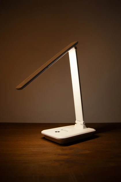 Настільна лампа з акумулятором та павербанком Electro House 10Вт