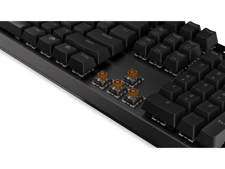 Клавіатура ENDORFY Thock Wireless Brown (EY5A078) Kailh Box Brown - зображення 2