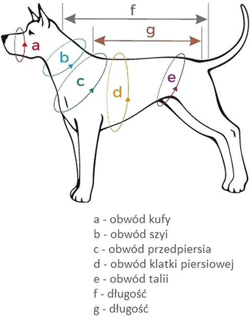 Szelki regulowane dla psa Amiplay BeHappy Discovery M Jungle (5907563297913) - obraz 4