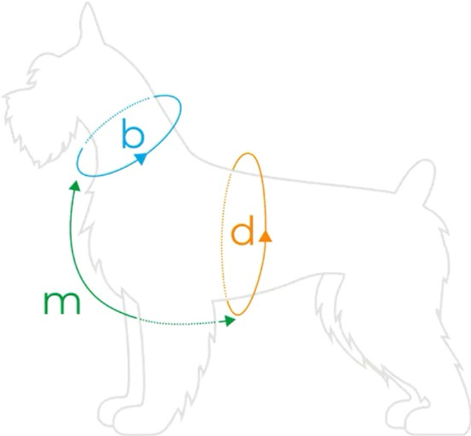 Szelki regulowane dla psa Amiplay BeHappy Guard M Watermelon (5907563282674) - obraz 4