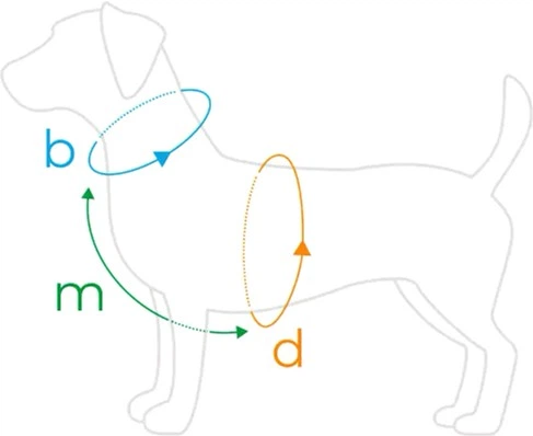 Шлеї регульовані для собаки Amiplay BeHappy Guard S Cherry (5907563282605) - зображення 4