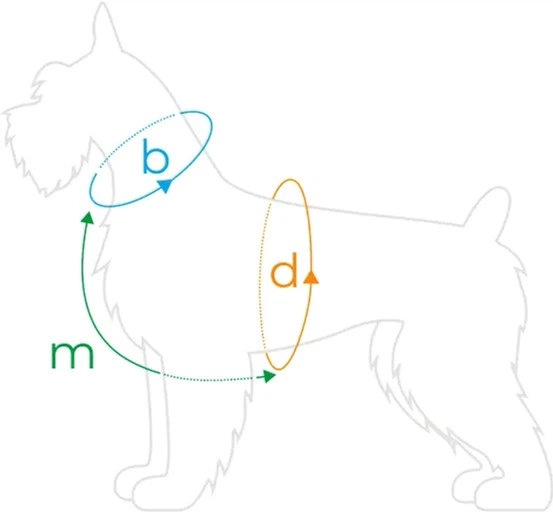 Szelki regulowane dla psa Amiplay Samba Guard M Czarne (5907563280342) - obraz 4