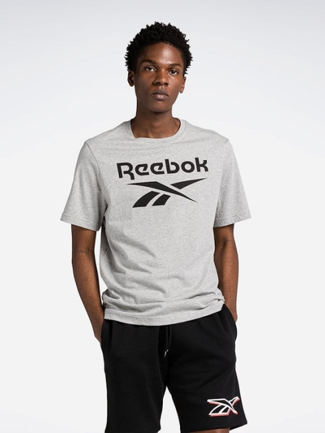 Koszulka męska Reebok Identity Big 100071173 S Szara (4066763457488) - obraz 1