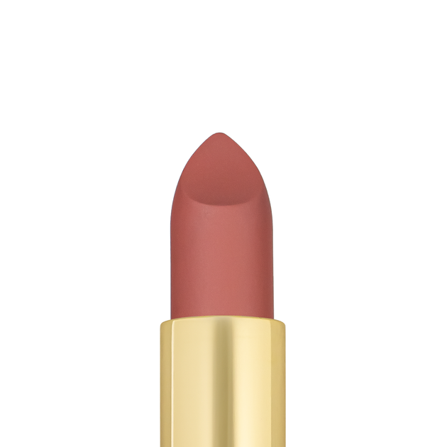 Помада для губ матовая topface PROHD Soft Matte Lipstick PT158, 013 Muse/Светлая терракотовая - изображение 2