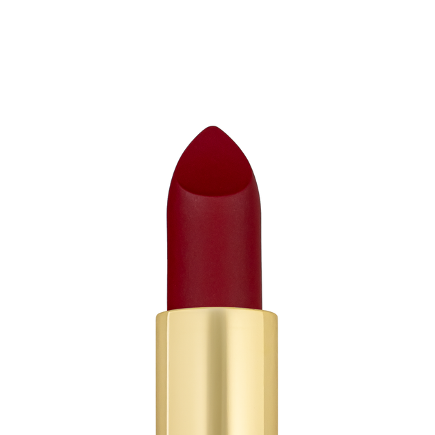 Помада для губ матова topface PRO HD Soft Matte Lipstick PT158, No 020 - зображення 2