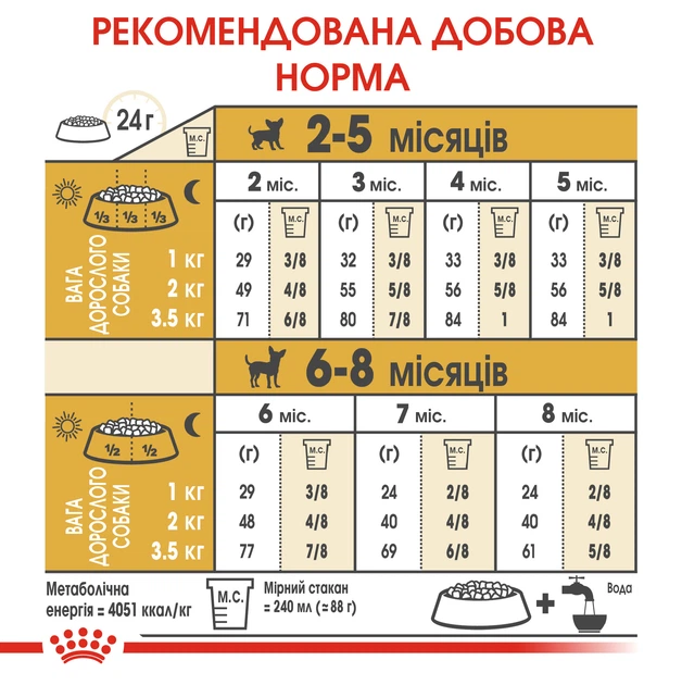 Повнораціонний сухий корм Royal Canin Chihuahua Puppy №28 для цуценят породи чихуахуа віком від 2 до 8 місяців, 500 г, 24380051 - Фото 6 Повнораціонний сухий корм Royal Canin Chihuahua Puppy №28 для цуценят породи чихуахуа віком від 2 до 8 місяців, 500 г, 24380051 - изображение 6
