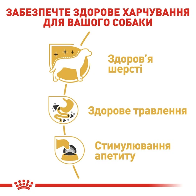 Корм соб Роял Канин 85 гр Chihuahua ADULT 11704 - изображение 3