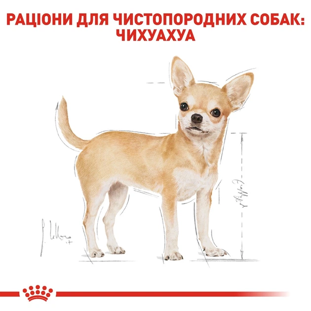 Корм соб Роял Канин 85 гр Chihuahua ADULT 11704 - изображение 6