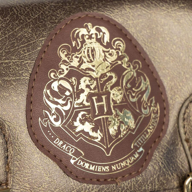 Plecak Cerda Harry Potter Hogwarts (8445484385342) - obraz 3