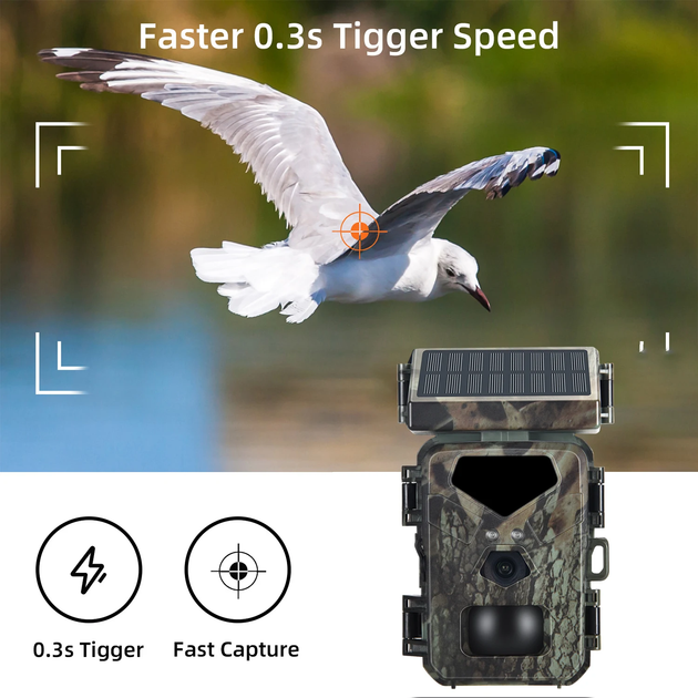 Фотоловушка Suntek Mini700 20м, защита IP65 - изображение 3