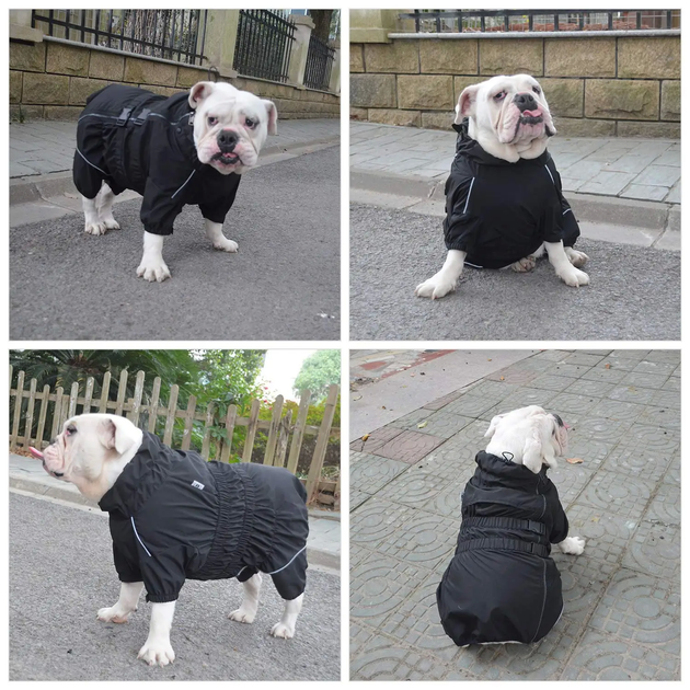 Комбінезон-дощовик для такс, коргі Derby Dog Suit Black D-S - зображення 6