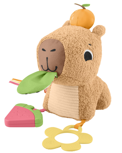 Іграшка для немовлят Fisher-Price Капібара HYR54 (0194735254262) - зображення 6
