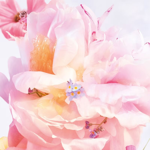 Туалетна вода для жінок Dior Miss Dior Blooming Bouquet 100 мл (3348901627375) - зображення 3