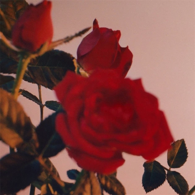 Парфумована вода для жінок Jil Sander Sunset Intense 75 мл (3616304493485) - зображення 4